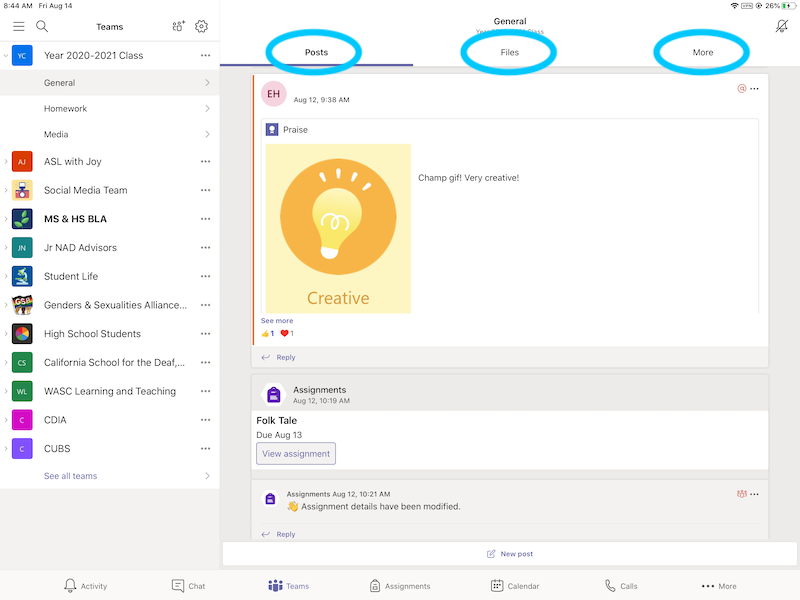 Microsoft Teams General section, displaying the Posts, Files, and More tabs.
